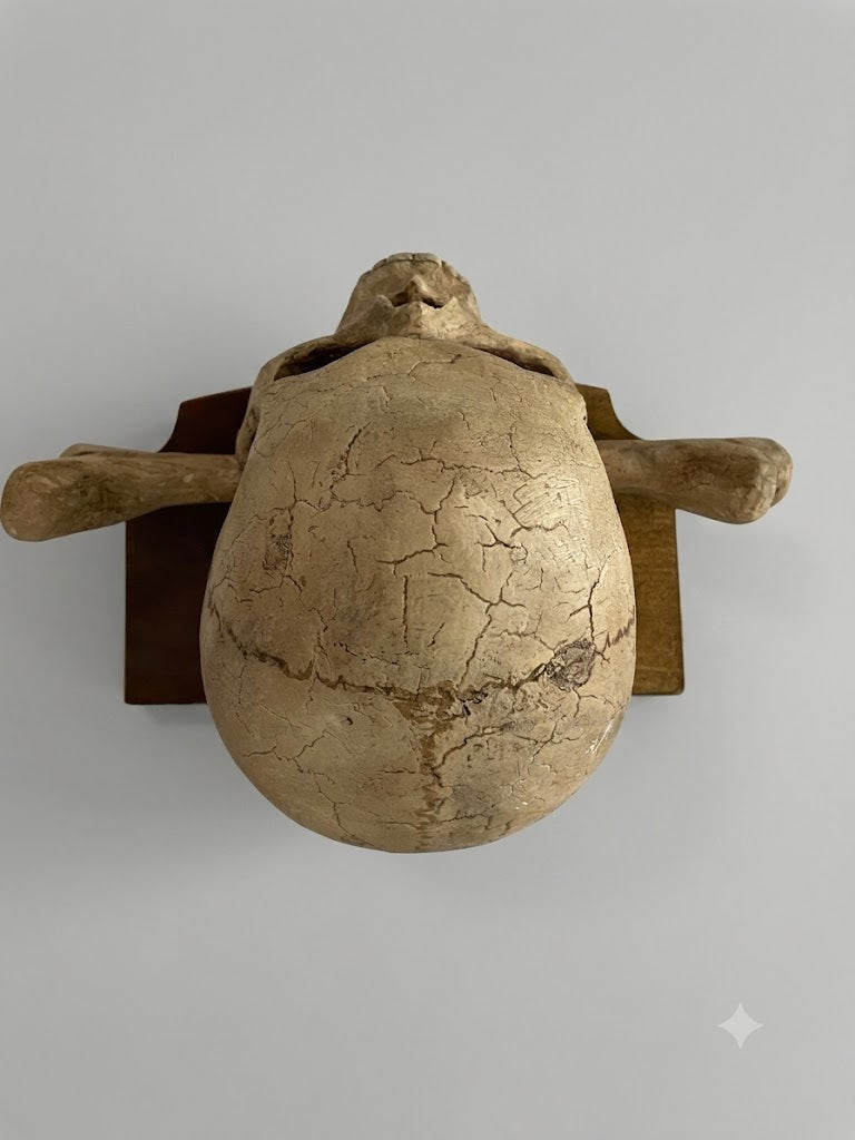 Memento Mori Totenkopf mit gekreuzten Knochen auf originaler Wandkonsole – Tirol, um 1800