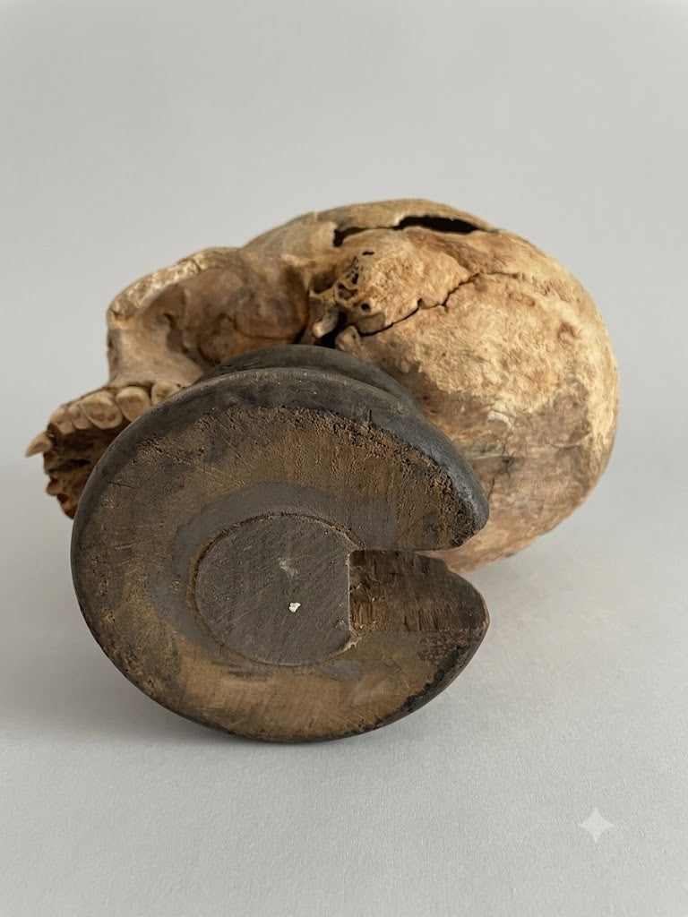 Museales Memento Mori: Durchbrochener Totenkopf mit Pentagramm-Schnitzerei (wohl um 1800)