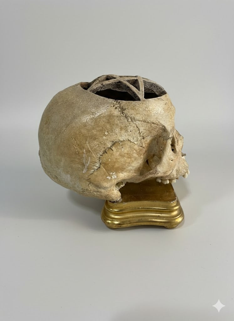 Echter Schädel mit Pentagramm-Symbolik (Frühes 18. Jhd.)