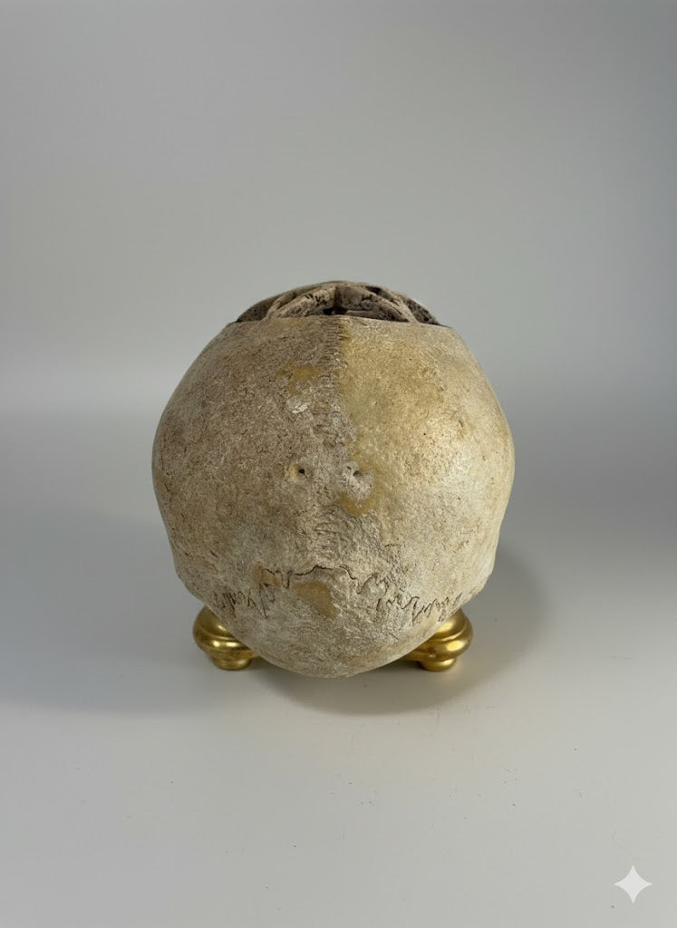 Echter Schädel mit Pentagramm-Symbolik (Frühes 18. Jhd.)