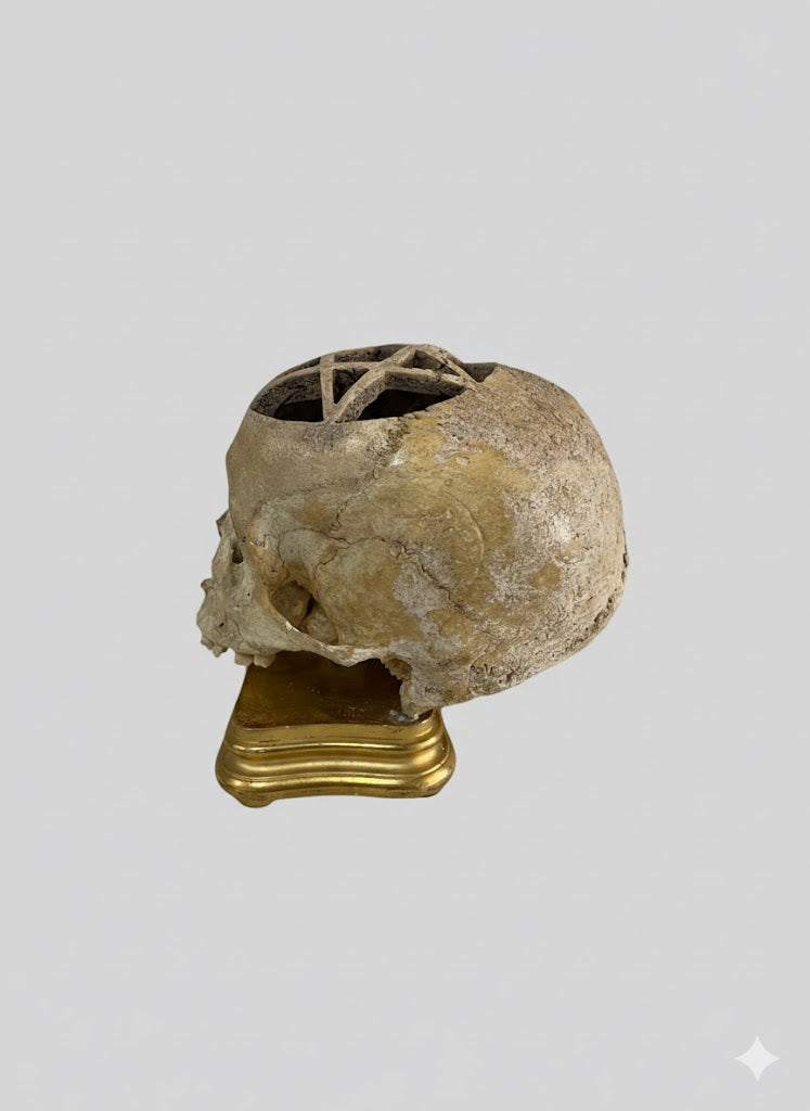 Echter Schädel mit Pentagramm-Symbolik (Frühes 18. Jhd.)