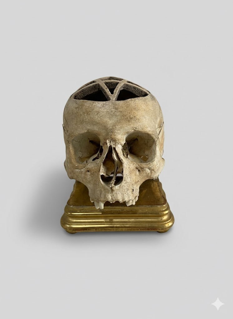 Echter Schädel mit Pentagramm-Symbolik (Frühes 18. Jhd.)