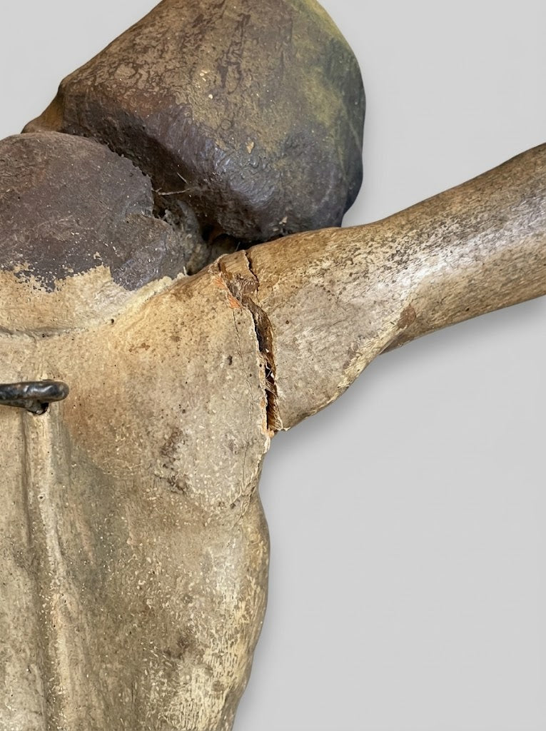 Musealer spätgotischer Christuskorpus – Um 1520/1530