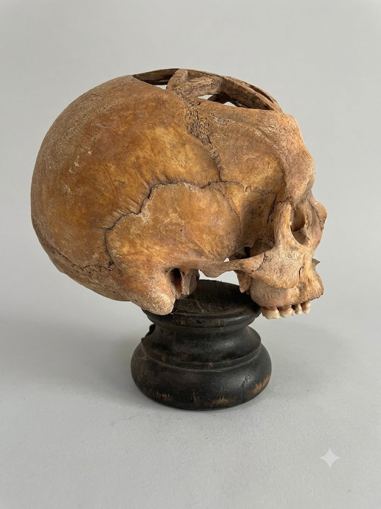 Museales Memento Mori: Durchbrochener Totenkopf mit Pentagramm-Schnitzerei (wohl um 1800)