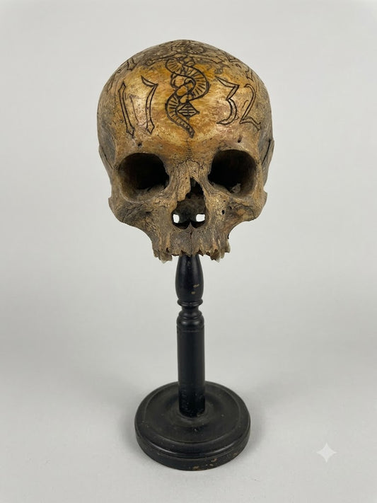 Rarität des Barock: Historischer Memento Mori Schwurkopf (1732) – Fein graviert mit Sonne, Mond, Schwert & Schlange (Höhe: 36 cm)