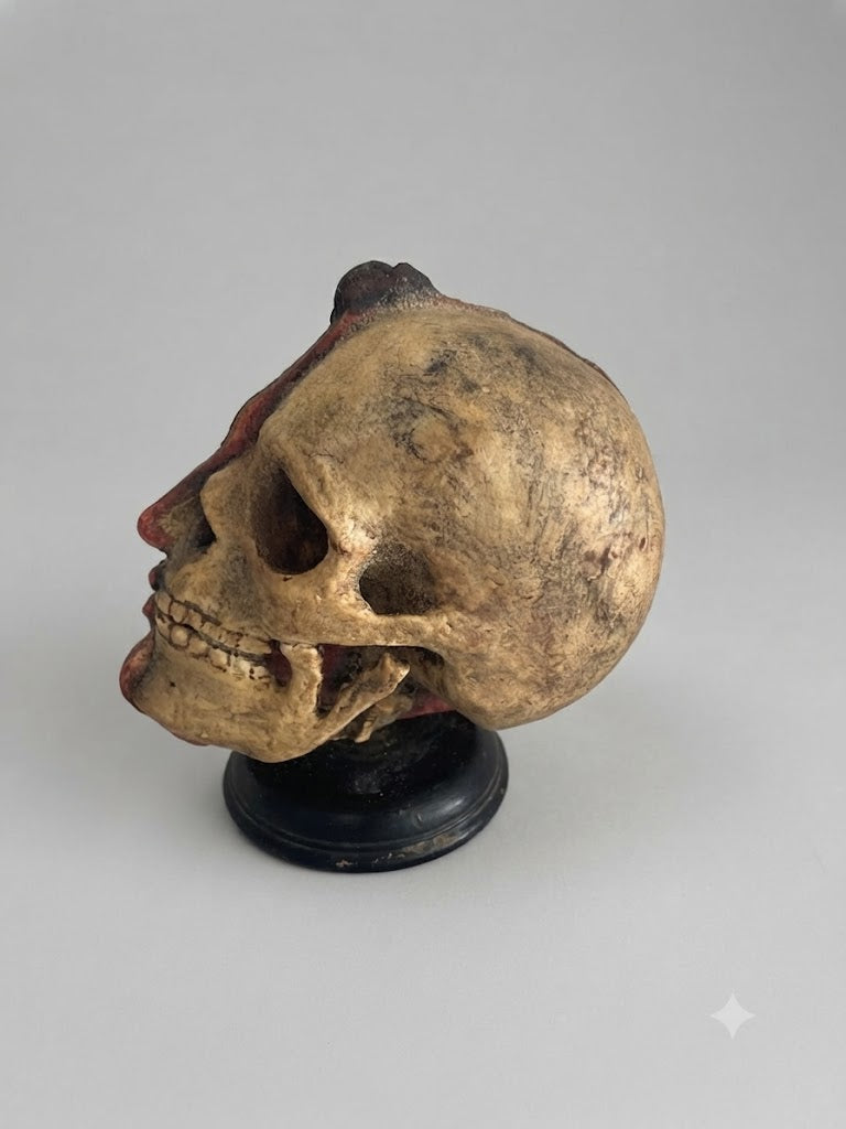 Memento Mori: Handgeschnitzter Allegorie-Kopf „Leben und Tod“ (ca. 1800)