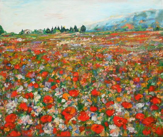MOHNBLÜTE IN DER PROVENCE